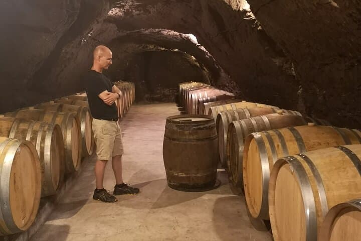 Chenonceau & Touraine Wine Private Day Tour from Paris photo 6