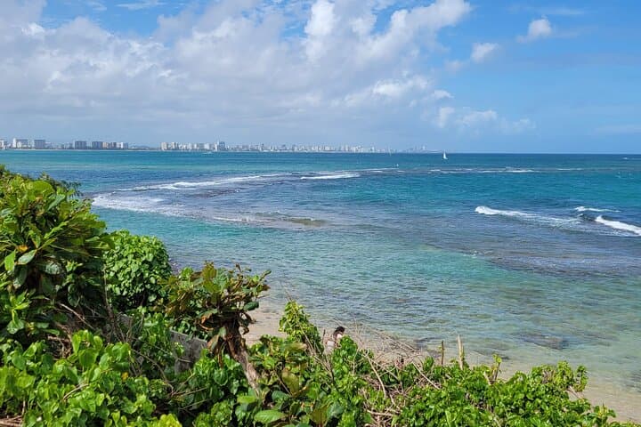 Old San Juan and Piñones: Half-Day Cultural & Beach Sightseeing Experience photo 6