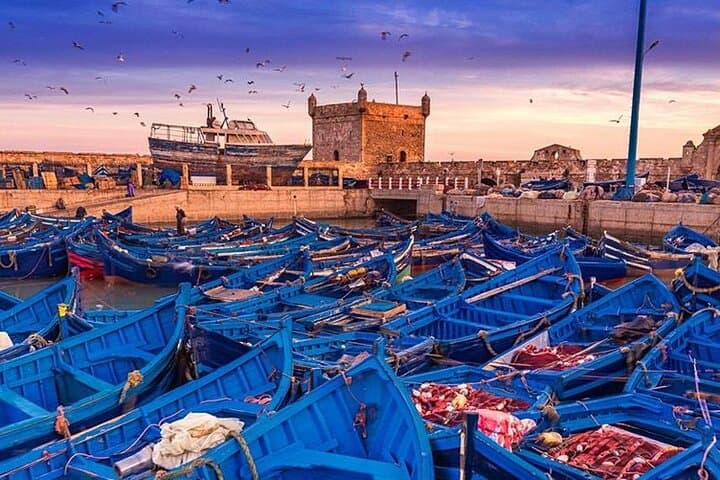 Essaouira in a Day: Coastal Walks, Port Life & Argan Co-ops from Marrakech photo 1