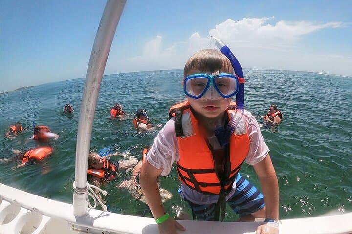 Catamaran to Isla Mujeres with Open Bar — Snorkel, Beach Club & Sunset Party photo 4
