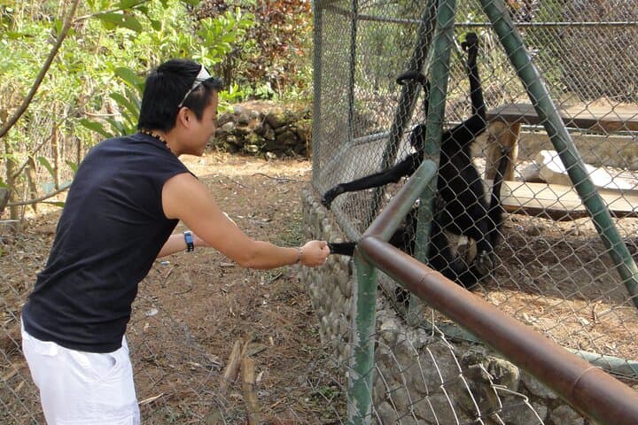 Full-Day El Valle de Anton Tour: Waterfalls, Rainforest Walks & Butterfly Farm