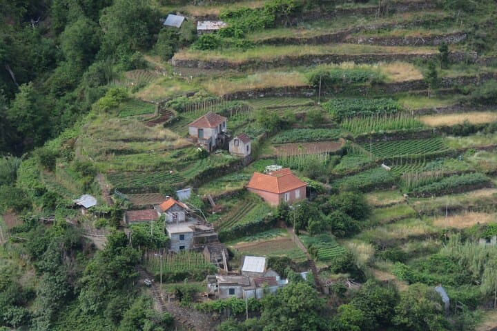 Madeira 4x4 Adventure: Santo da Serra Farmers Market & Cristo Rei Views photo 6