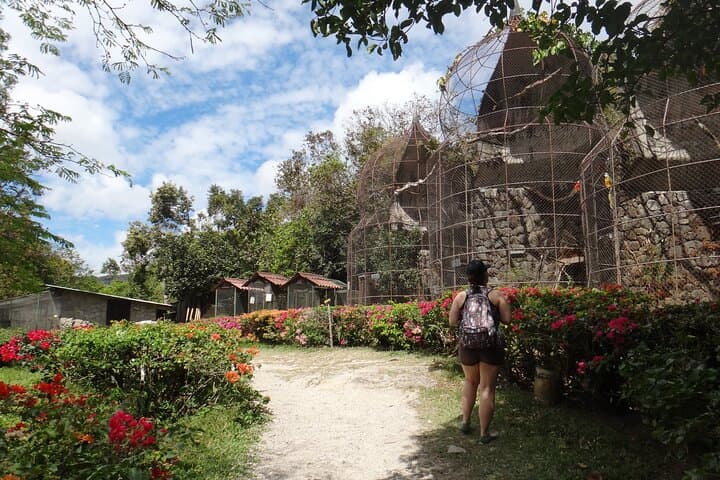 Full-Day El Valle de Anton Tour: Waterfalls, Rainforest Walks & Butterfly Farm photo 6