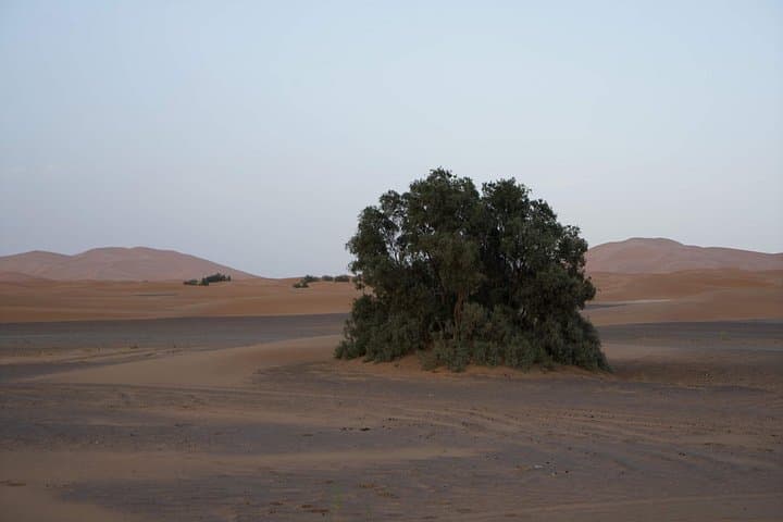 Overnight Desert Tour from Fez to Merzouga: 1-Night Erg Chebbi Camping Experience photo 4
