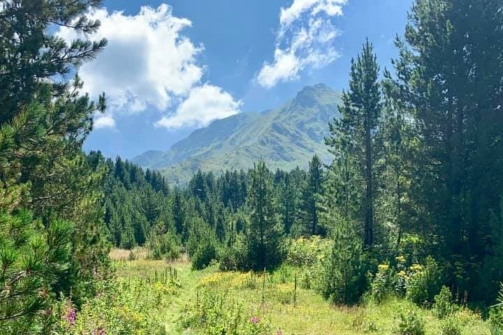Hike Sharr Mountains: Day Trek from Prizren to Alpine Summits photo 5
