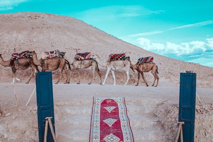 Sunset Camel Ride in Agafay Desert from Marrakech with Dinner & Live Music photo 5