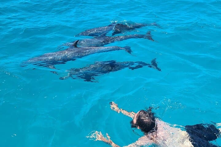 Custom Bimini Charter: Private Yacht, Snorkeling & Beach Dining with Photographer photo 2