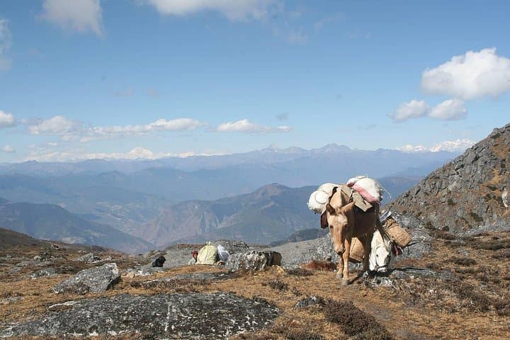 Dagala Thousand Lakes Trek: 10-Day High-Altitude Trek from Paro to Thimphu photo 4
