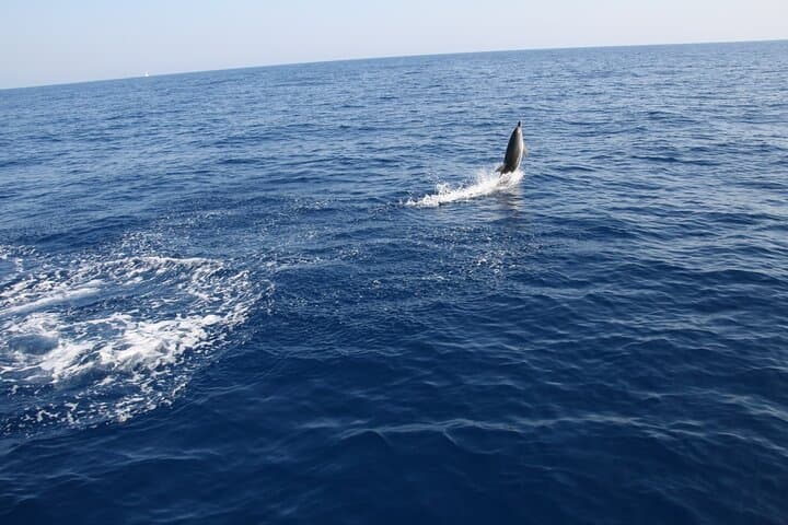 Bari Sailing Cruise: Dolphin Watching & Swim Stop in the Adriatic photo 2