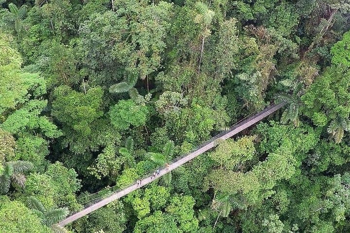 Arenal Volcano Day Trip: Mistico Hanging Bridges, Hot Springs & Lake Views photo 4