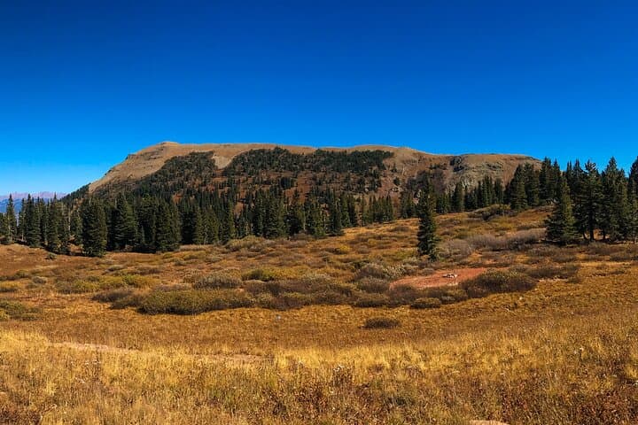La Plata Canyon Jeep Tour from Durango: 4-Hour Off-Road Adventure to Kennebec Pass photo 4
