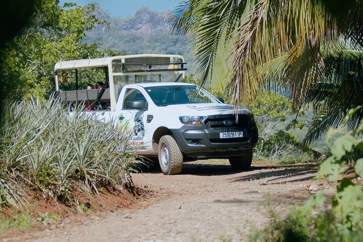 Moorea Safari 4x4 Tour: Belvedere, Magic Mountain & Waterfall Adventure photo 5