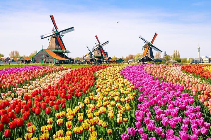 Private Dutch Countryside Tour: Zaanse Schans Windmills & Volendam Day Trip photo 2