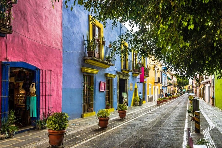 Chimalistac Exploration Game: Hidden-Gems Walking Tour in Mexico City