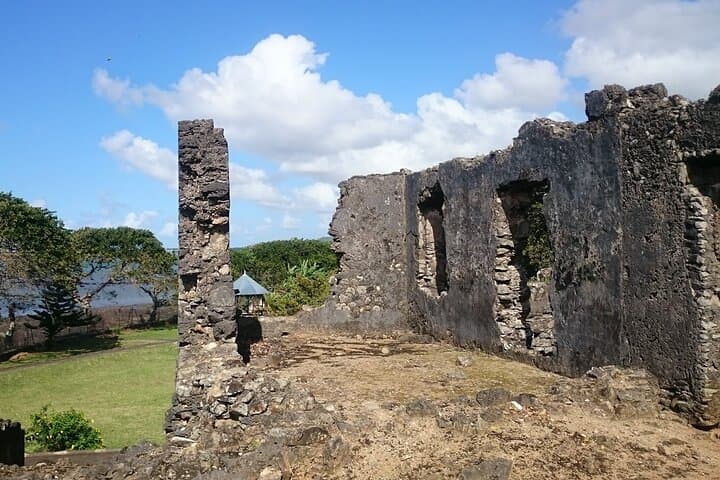 East Mauritius Full-Day Tour: Bois Chéri, Rhumerie St‑Aubin & Blue Bay Snorkel photo 3
