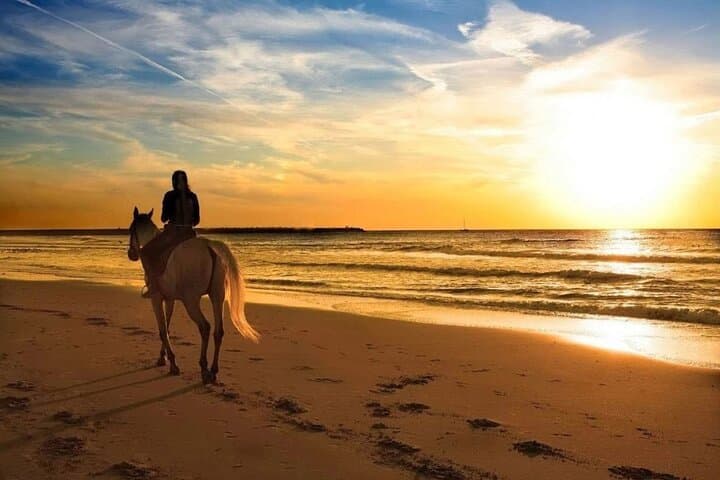 Sunset Horseback Ride on Kamala Beach, Phuket — One-Hour Coastal Experience photo 2