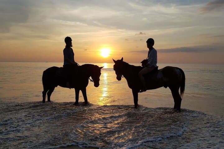 Sunset Horseback Ride on Kamala Beach, Phuket — One-Hour Coastal Experience photo 5