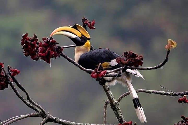 Central Bhutan Cultural Journey and 5-Day Nature Trek in Trongsa photo 3