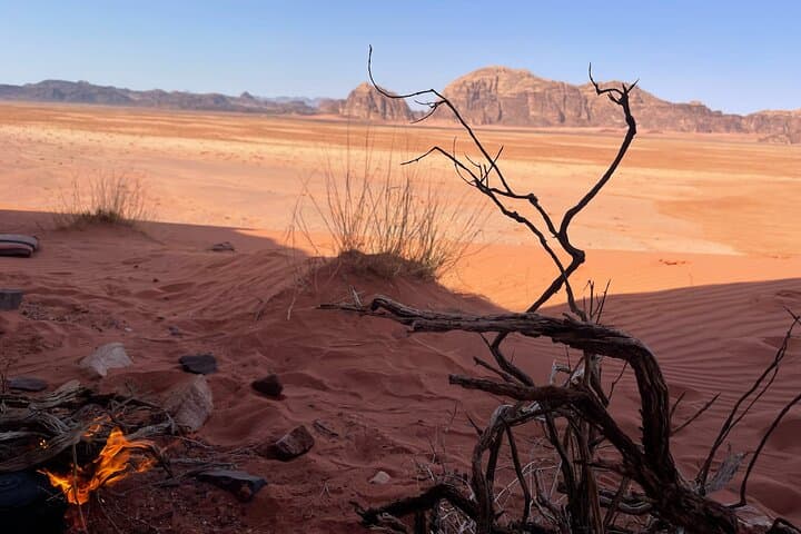 Full-Day Wadi Rum Hiking: Lawrence's Spring, Khazali Canyon & Bedouin Lunch photo 4