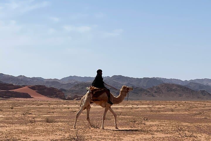 Full-Day Wadi Rum Hiking: Lawrence's Spring, Khazali Canyon & Bedouin Lunch photo 5