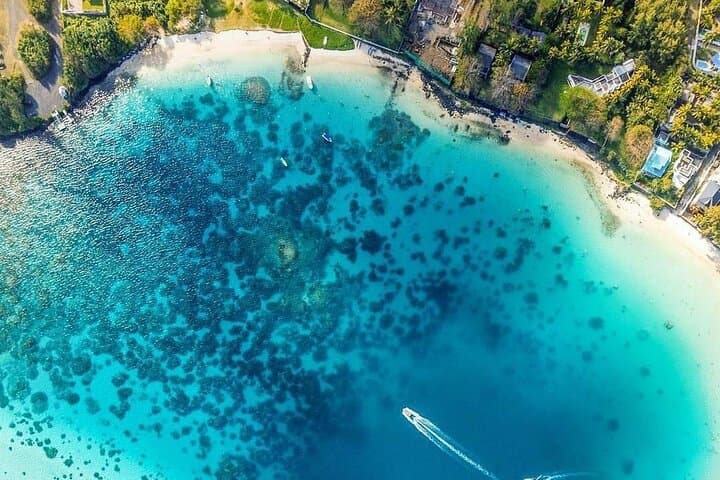 Explore Mauritius East Coast: Blue Bay Snorkel and Ile aux Aigrettes Nature Tour photo 2