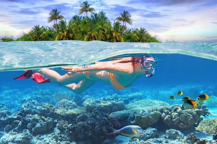 Eastern Mauritius Day Tour: Rhumerie St Aubin, Blue Bay Snorkel & Mahebourg Highlights