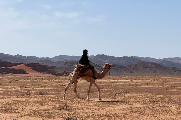 Wadi Rum One-Day Camel Tour: Lawrence's Spring, Khazali Canyon & Sand Dunes photo 2