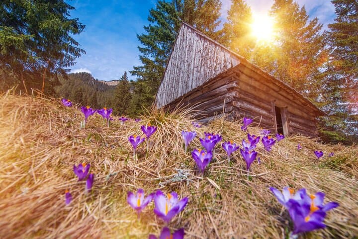 Zakopane and Chochołow Thermal Baths Day Trip from Krakow photo 5