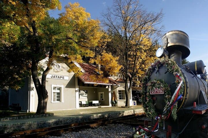 Western Serbia Day Trip: Šargan 8 Nostalgia Train, Wooden Town & Drina River from Belgrade photo 2