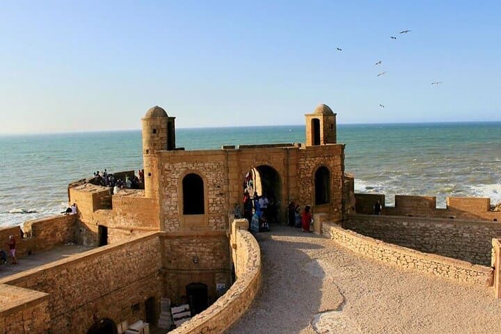Full-Day Essaouira Excursion from Casablanca: Argan Trees, Medina & Atlantic Coast