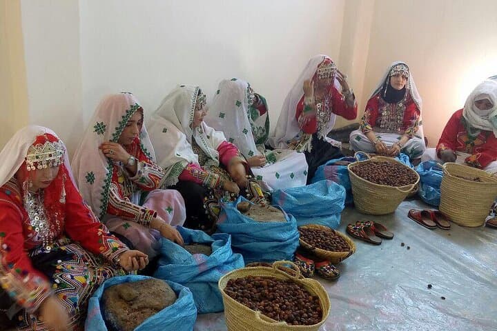 Full-Day Essaouira Excursion from Casablanca: Argan Trees, Medina & Atlantic Coast photo 5