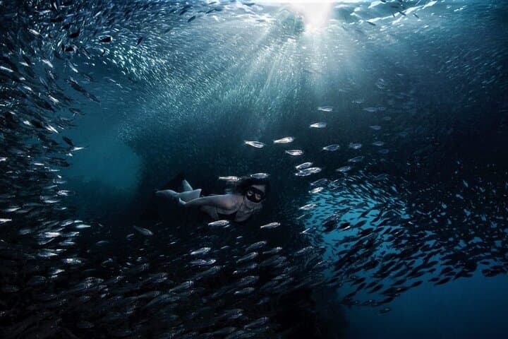 Panglao Scuba: Bohol Dive Courses and Discover Scuba Day Trips photo 5