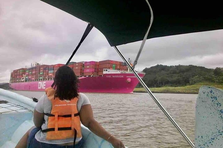 Gamboa Wildlife and Sloth Sanctuary Boat Tour from Panama City photo 4