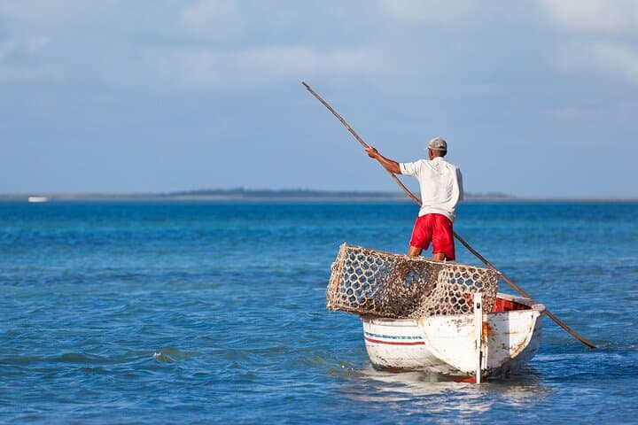 East Mauritius Full-Day Tour: Bois Chéri, Rhumerie St‑Aubin & Blue Bay Snorkel