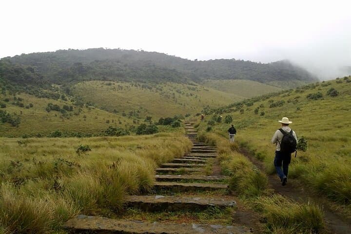 Horton Plains & Baker's Falls Day Trip from Nuwara Eliya with Tea-Factory Visit photo 2