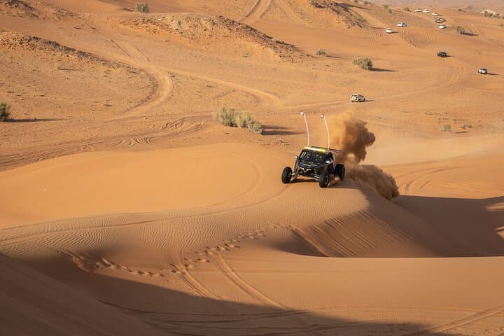 Dubai Red Dunes Self-Drive Quadbike with Camel and Falcon Experience photo 6