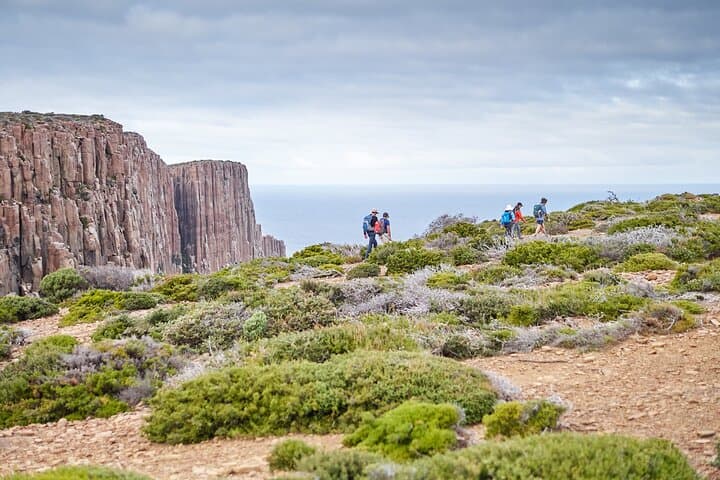 Four-Day Three Capes & Tasman Peninsula Hiking Tour: Cape Hauy, Cape Raoul and Wilderness Cruise photo 6