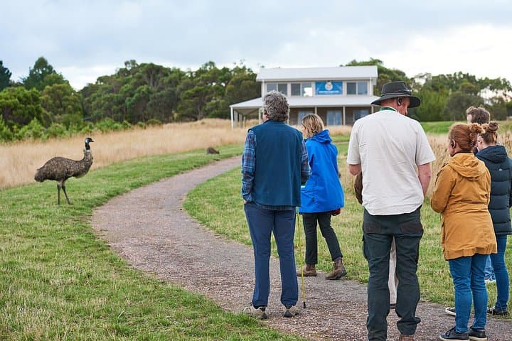Dusk Discovery Tour: Otways Wildlife Walk & Sunset at Wildlife Wonders