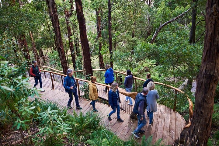 Dusk Discovery Tour: Otways Wildlife Walk & Sunset at Wildlife Wonders photo 3