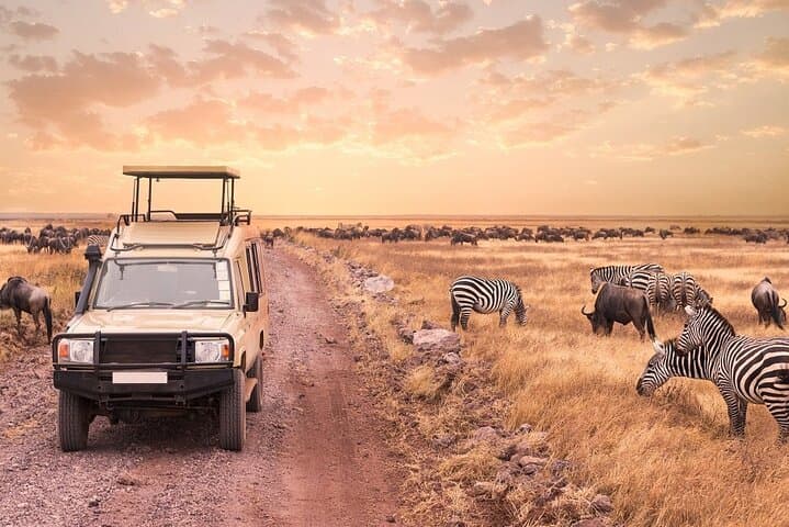 4-Day Mid-Range Safari: Serengeti, Ngorongoro & Tarangire photo 6