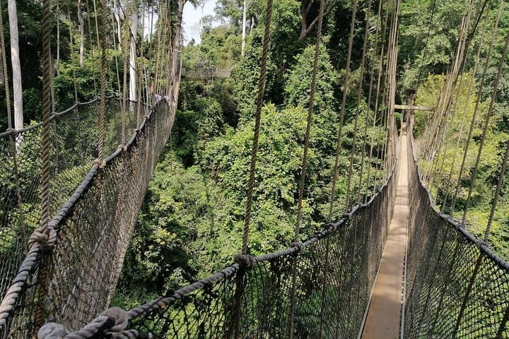 Cape Coast & Elmina 2-Day Private Tour: Castles, Dungeons & Kakum Canopy photo 2