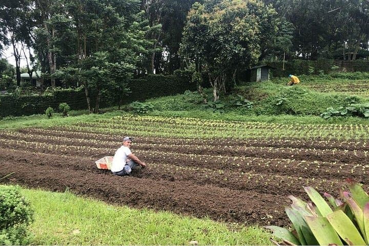 Tagaytay Ridge Panoramic Tour: Palace in the Sky, Taal Views & Farm Visit photo 3