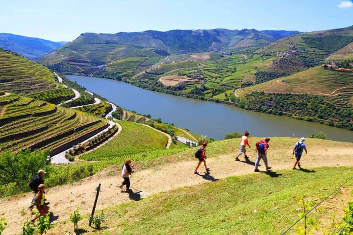 Douro Valley Wine Tour: Two Wineries, Lunch and Optional Rabelo Cruise from Porto photo 6