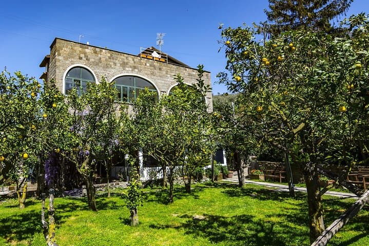 Sorrento E-Bike Limoncello Tour: Backroads & Lemon Grove Ride photo 2