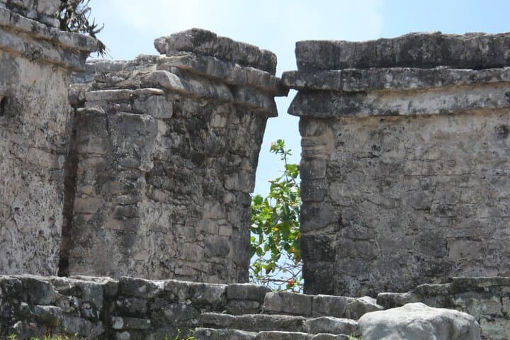 Tulum Ruins & Cenote Day Tour: Explore Mayan Cliffs and Swim Crystal Caverns photo 5
