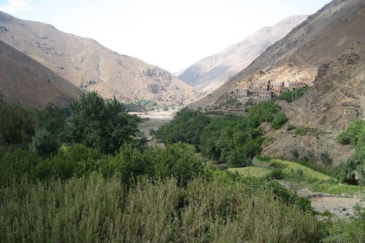 Ouzoud Waterfalls Full-Day Tour from Marrakech: Swim, Monkeys & Waterfall Views photo 3