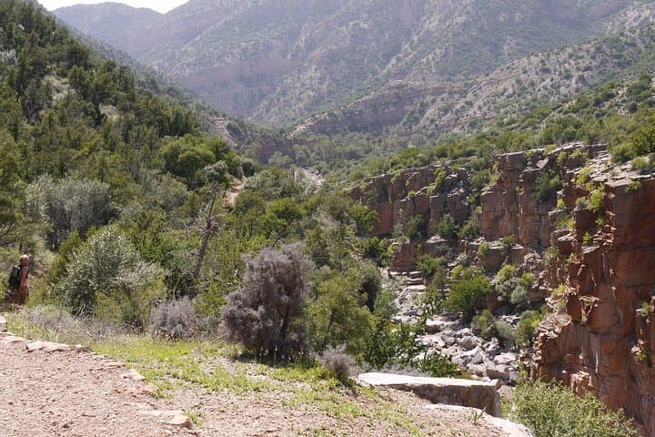 Ouzoud Waterfalls Full-Day Tour from Marrakech: Swim, Monkeys & Waterfall Views photo 5
