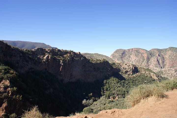 Half-Day Paradise Valley Trip from Agadir — Natural Pools, Cliff Jumps & Palm Oasis photo 6