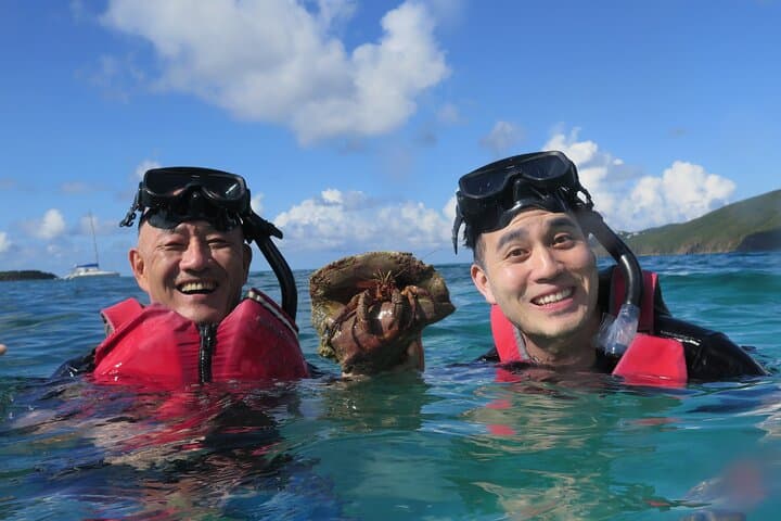 Small Group Sea Turtle Snorkel Tour in St. Thomas — Guaranteed Turtle Sightings photo 3
