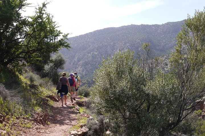 Ouzoud Waterfalls Full-Day Tour from Marrakech: Swim, Monkeys & Waterfall Views photo 4